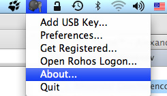 Rohos icon